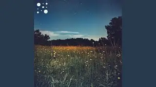 Quiet Meadow