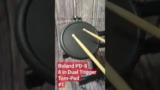 Roland PD-8 8-in Dual Trigger Tom/Pad #1  #77743008