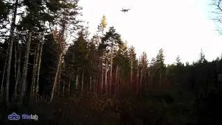 Quardino VC-450 MAS Prop Test