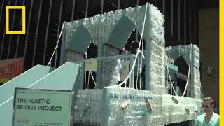 See the Brooklyn Bridge Model Made From 5,000 Plastic Bottles | National Geographic