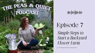 Simple Steps for Starting a Backyard Cut Flower Farm | Episode 7