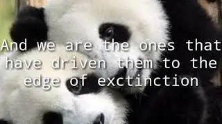 Save the pandas