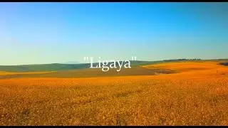The Joy of Living: Positive Energy, Exploring, Happy Memories, Short story music video.