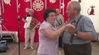 Pograjki w Kazimierzu Dolnym 2016 - harmonista Sławomir Doraczyński 