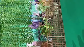 ROBOTIC Animals 