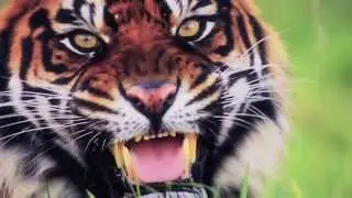 Group Visits at WMSP