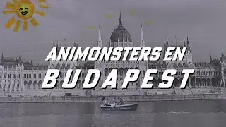 ANIMONSTERS en Budapest