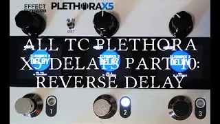 TC Plethora X5 All the Delay Toneprints in Stereo Part 10 : Reverse Delay