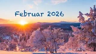 Devica - 02/2026