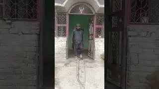 #Mastan Sahab ko dekhiae kya kar rahe hain