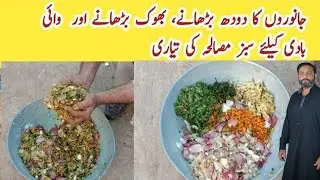 Aj Amir dogar ne janwaron ke hazme ke sare masle hal kar diye