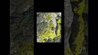 Il Triangolo Lariano e le sue montagne... che sorpresa sulle rocce, tracce di tempi antichi...