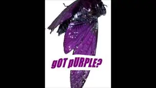 Tech Trap 30 32 34hz PurpleSyrup Remix