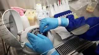 Total RNA extraction procedure