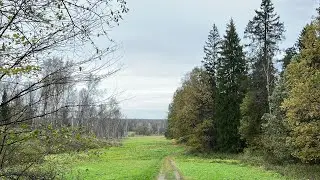 Прогулка по Ясной поляне. Участки Елочки и Чепыж. Любимая лавочка писателя. 12.10.23