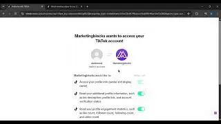 How to Connect TikTok to AI Social Spark Tool