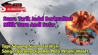 SUARA TARIK WALET SUPER RESPON Milik Guru Andi Sufar..! DNA Suara Jadul Pemikat Walet Muda