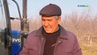 Zarbdor tumanida tomorqalarda ishlash va samaradorlikgi oshirilmoqda