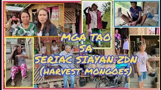 MGA TAO SA SERIAC SIAYAN ZDN | Harvest Mongoes | Watch Till the End
