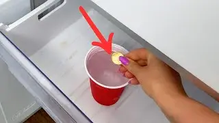I Freeze a Coin. It&rsquo;s the Only Way I Check This One Thing