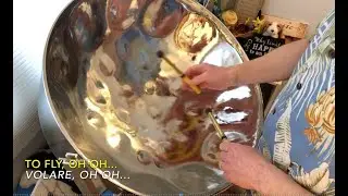 SteelHappiness.com - Volare on steel drum