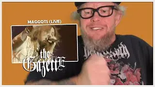 THE GAZETTE - Maggots LIVE - my Visual Kei Reaction to The Gazette