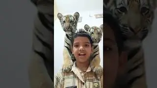 #yosho #viral #birunandjejemaaslife #hindisong #trending