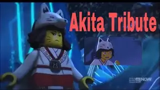 Ninjago (Akita) Tribute - Princesses Don’t Cry
