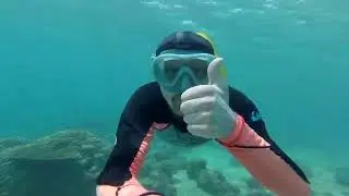 Snorkeling & light freediving at Farasan islands 🤿 Подводный мир островов Фарасан 🐠