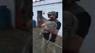 El burrito m&aacute;s peque&ntilde;o del mundo #shorts