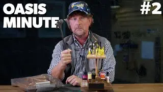 Oasis Minute - SUSAN IS LAZY