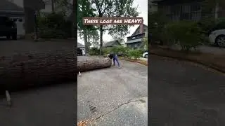 Moving these heavy ass #logs by hand #sawmill #woodmill #logger #woodwork #woodworking #treetotable