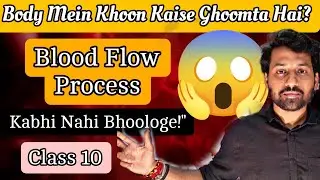How blood Circulate in human body 😱 | Blood Circulation In body | Most important Topic |Easy explain