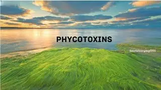 Phycotoxins (Algal toxins)