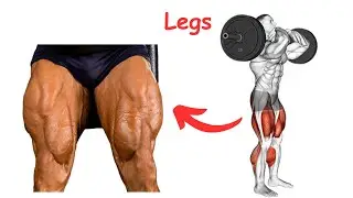 Best 07 Exercises for huge Legs #gym #legsworkout #barbellworkout