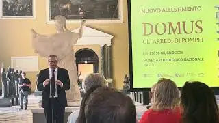 domus. gli arredi di Pompei  Massimo Osanna