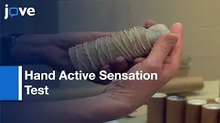Hand Active Sensation Test: Design, Fabrication, and Administration | Protocol Preview