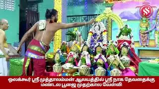ஒலக்கூர் ஸ்ரீ முத்தாலம்மன் ஆலயத்தில் ஸ்ரீ நாக தேவதைக்கு மண்டல பூஜை முதற்கால வேள்வி