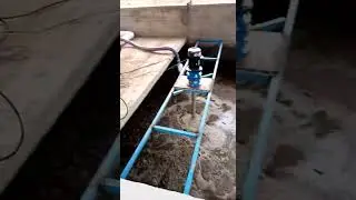 Inclined Screen Stainless Steel  Pig Manure Solid Liquid Separator