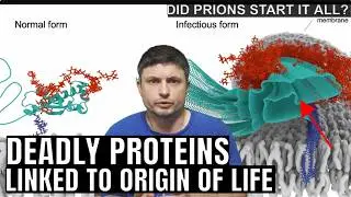 Origins of Life on Earth Linked to a Deadly Protein
