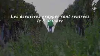 VENDANGES 2015