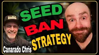 If Seeds Get Banned, This Becomes the Most Important Skill
