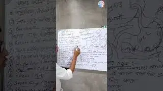gastritis/পাকস্থলীর প্রদাহ কী কী কারণে হয়ে থাকে? #viral @healthtipsbango3855