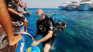 In fondo al mar... Rosso - Snorkeling & Diving - Egitto 2023
