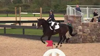 Sena Blue ridden by Devon Raynor | $500 PEL M&S Child/Adult Jumper 10/15/2017