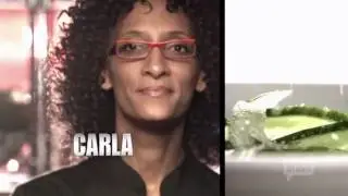 Top Chef All-Stars Intro [Season 8]