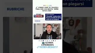 TGCOM24 MEDIASET - Andrea Gioe'