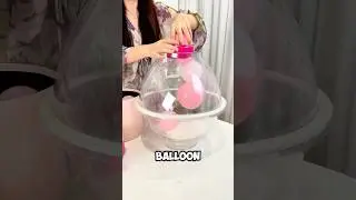 The 