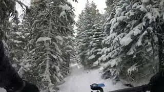 Buchanan Pass Trail - Fat Biking at Brainard Lake & Peaceful Valley - Colorado