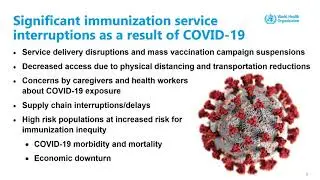 WHO GRISP Special event: Strategies for catch-up vaccination in the context of COVID-19
